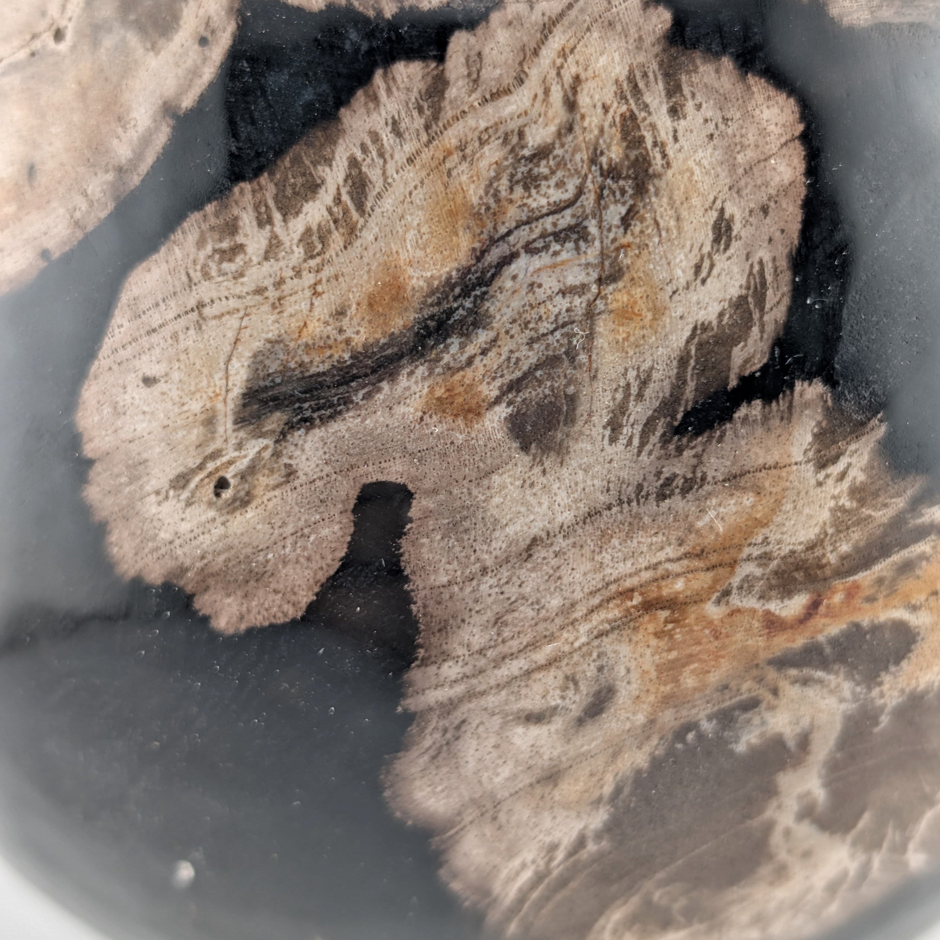 Esfera de madera petrificada ~8 cm