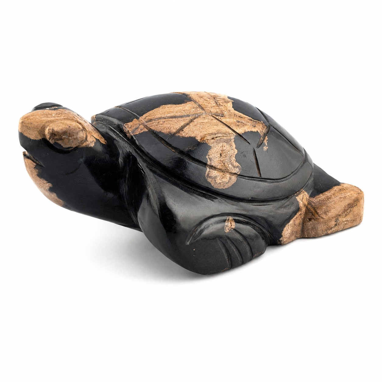 Tortuga de madera petrificada