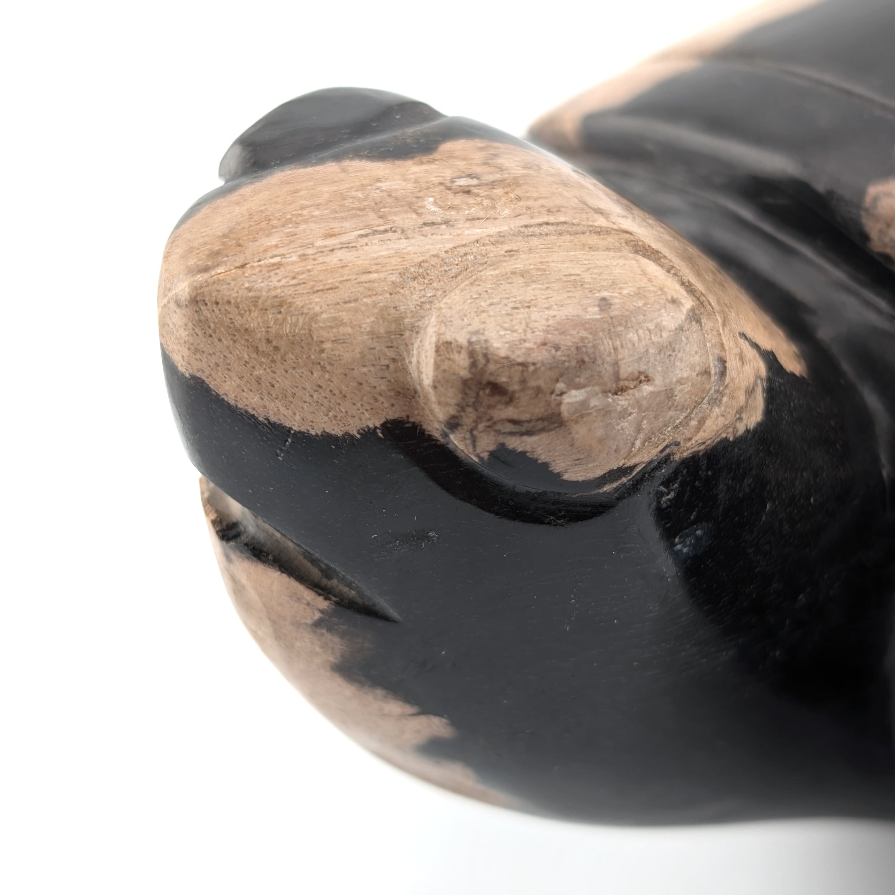 Tortuga de madera petrificada