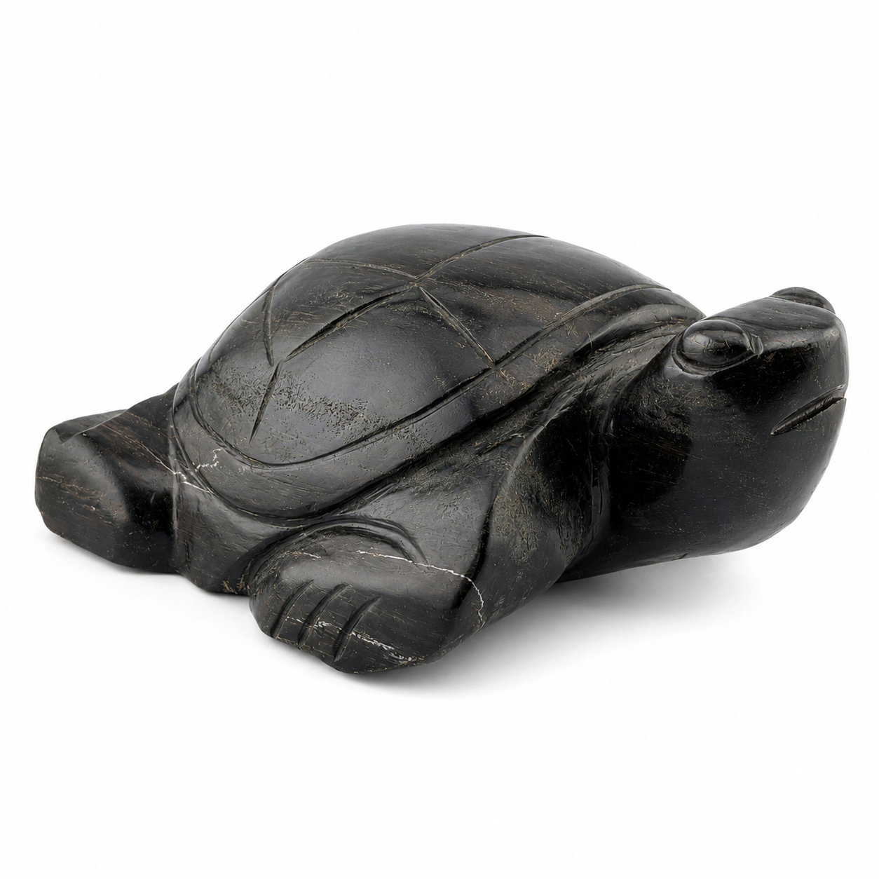 Tortuga de madera petrificada