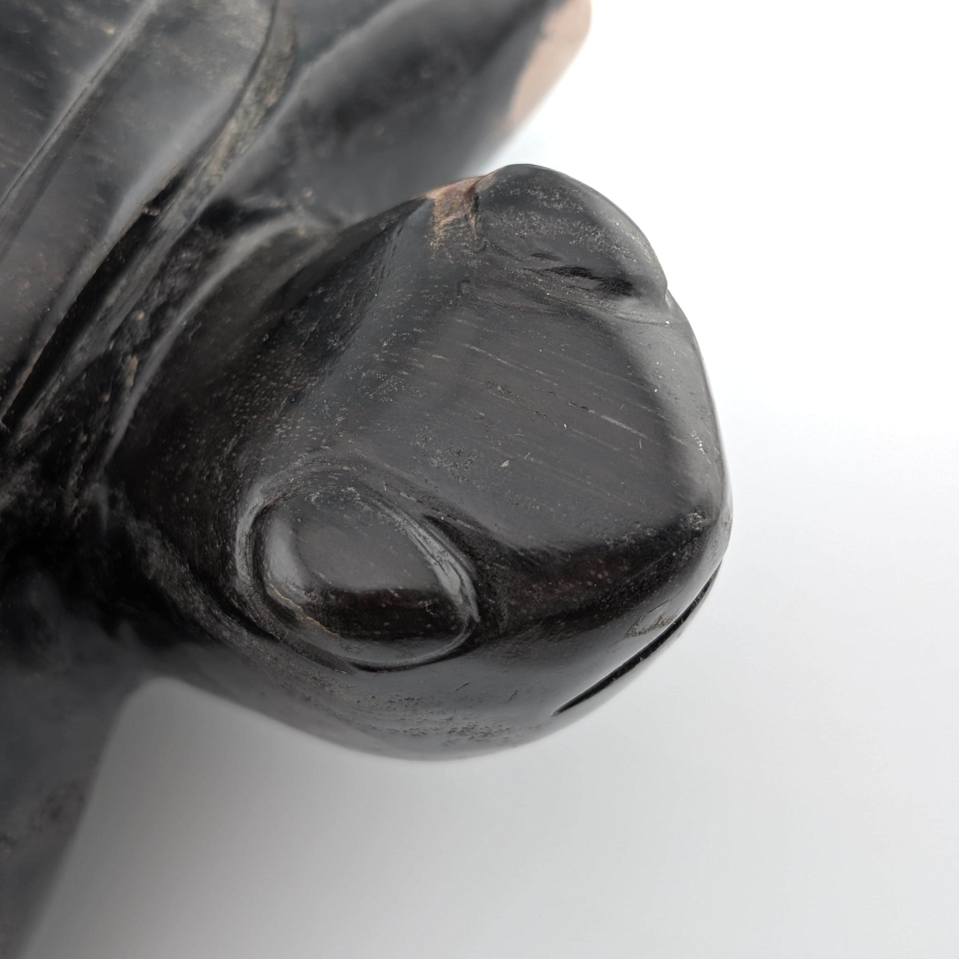 Tortuga de madera petrificada